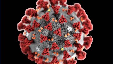 Coronavirus, quali i sintomi e come si trasmette - Biotech - ANSA.it